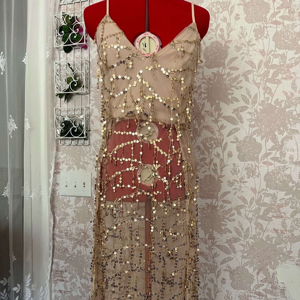 Elegant Beaded Sheer Champagne Gatsby Patty Cocktail Dress